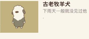 动物餐厅古老牧羊犬为什么不来