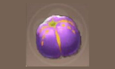 风云岛行动布袋球