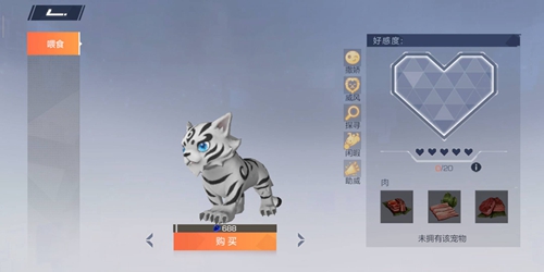 风云岛行动小白