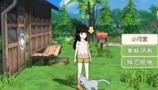 小森生活最多养几只猫